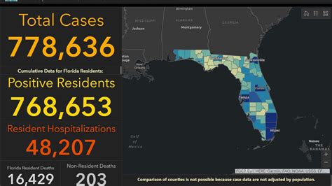 Florida reaches over 778,000 total COVID-19 cases | WEAR