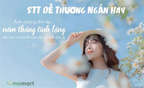 Những cảm nhận sâu sắc Những câu nói hay về bức ảnh đẹp Để khoe tài