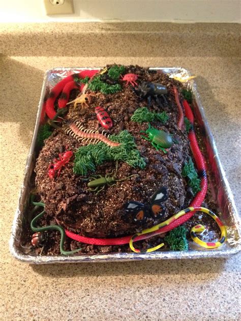 Creepy Crawly Bug Cake Bug Cake Reptile Party Beef