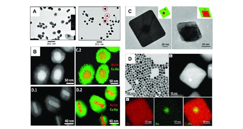 A TEM Images Of Au Nanostructures And Au Cu Core Shell Nanostructures