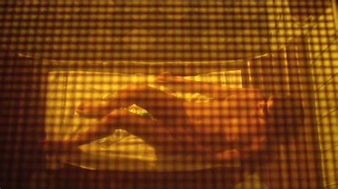 Carmen Di Pietro Nude Porn Videos Sex Tapes XHamster