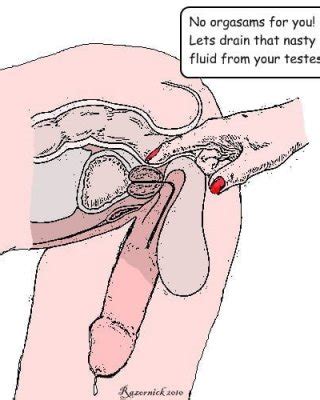 Reposted Gay Toons Its All Fun Porn Pictures XXX Photos Sex Images PICTOA