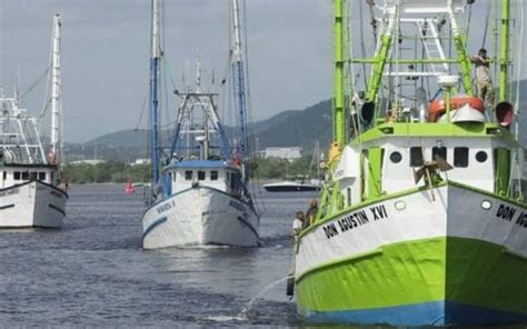 Comienza Temporada De Pesca De Camar N En El Oc Ano Pac Fico Y El Golfo