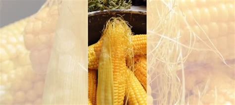 Кукуруза в початках купить в Москве | Товары для дома и дачи | Авито