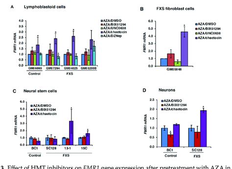 Effect Of HMT Inhibitors On FMR1 Gene Expression After Pretreatment