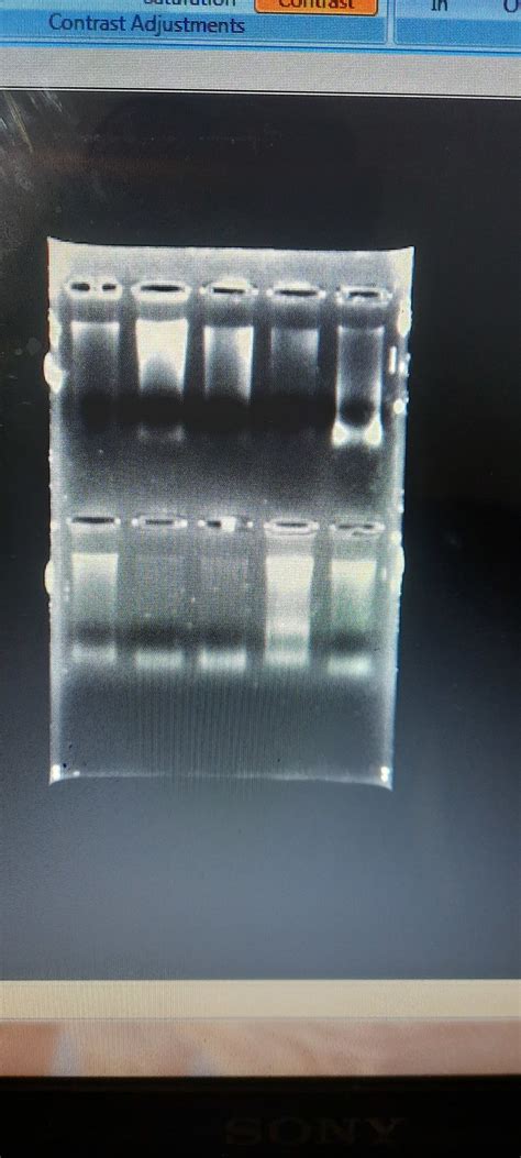 3390 questions with answers in PRIMER | Scientific method 
