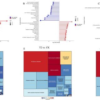 Heatmap Of Differential Metabolites For Pairwise Comparison In Pepper