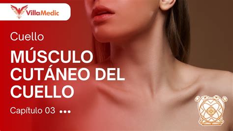 Cc Bb Anato Cuello M Sculo Cut Neo Del Cuello Villamedic Youtube