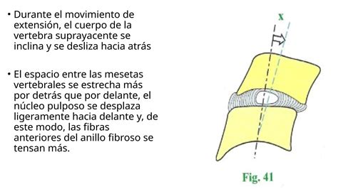 Biomec Nica De La Columna Cervical Baja Pptx