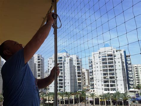 Как избавиться от голубей на балконе, крыше; защитить пентхаус или ...