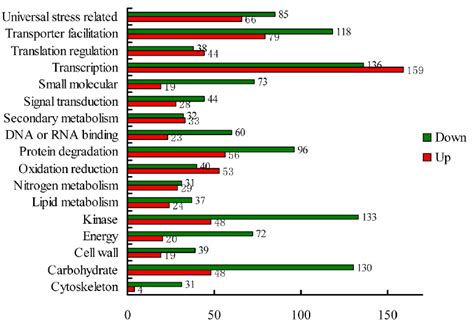 Comparison Between Up Regulated And Down Regulated Genes Based On