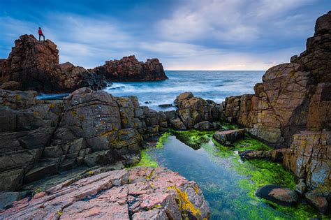 Hovs Hallar Naturreservat Sk Ne Fotograf Mikael Svensson