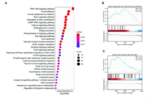 Kegg And Gsea Analysis Of Mrgps A Kegg Analysis Of The Degs