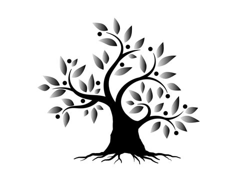 Black Branch Tree Or Naked Trees And Root Silhouettes Set Hand Drawn Isolated Illustrations