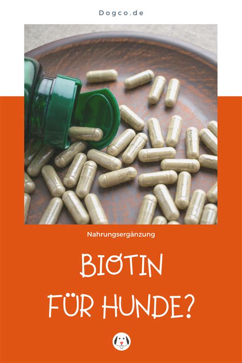 BIOTIN für Hunde Gesundes Fell und starke Krallen statt Biotinmangel