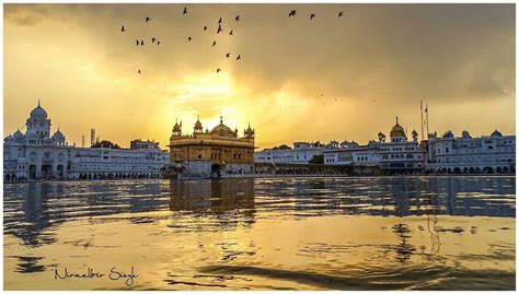 Pin On Golden Temple Place Of The Sikhs