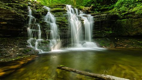 Forest Waterfall Pictures wallpaper | 1920x1080 | #80749