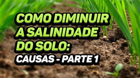 Como Diminuir A Salinidade Do Solo Causas Parte 1 YouTube