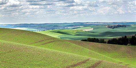 Road Trips Moscow Idaho Rural Oasis Beautiful Landscapes