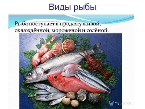 Блюда из рыбы и нерыбных продуктов моря