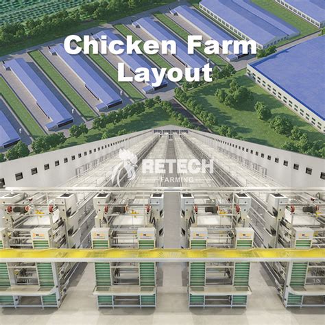 China Special Design For Cage For Chicken Layers RETECH Automatic H