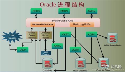 Oracle体系结构之进程结构 知乎