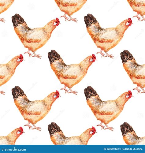 Seamless Pattern With Watercolor Image Of Hen Stock Illustration