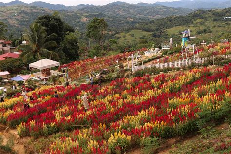 Cebu City Sirao Tour Flower Garden Tour Cebu City Tour