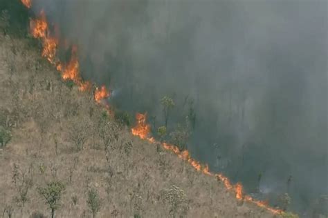 Combate A Incêndio No Parque Nacional De Brasília é Retomado Nesta 3ª