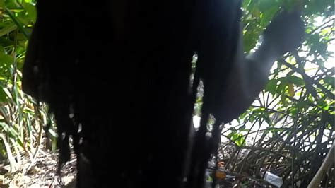 Hunting Naked Search XNXX