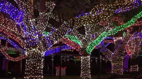 Houston 'Zoo Lights' offer discounts for the entire family this season ...