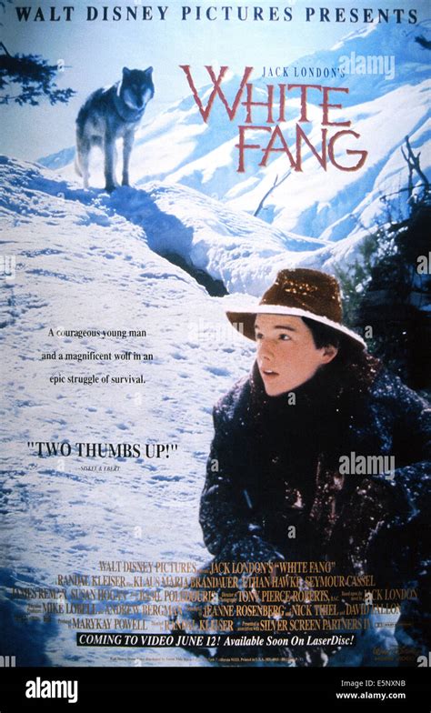 WHITE FANG, US poster, Ethan Hawke, 1991, © Buena Vista/courtesy ...