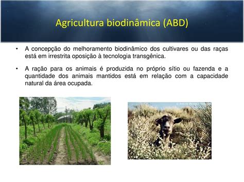 PPT Prof Dr Corlett F M F Fundamentos De Agroecologia PowerPoint