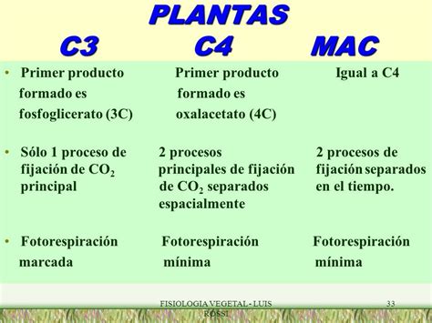 T Rmico Al Aire Libre D A Del Maestro Que Son Las Plantas C