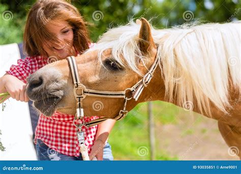 Woman Feeding Horse On Pony Farm Stock Image Image Of Smiling