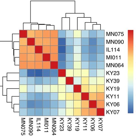 Hierarchical Clustering Of Gene Expression In Wns Affected And