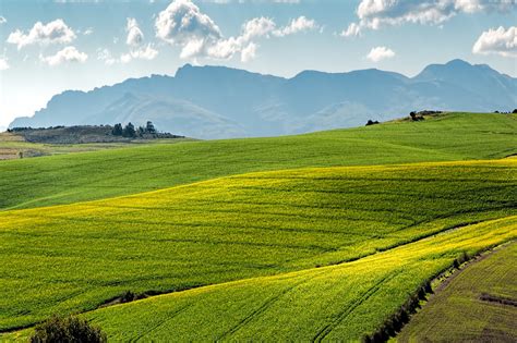 Matters of Land - DCJ Financial Services