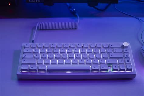 Custom Modded Mechanical Keyboard GMK67 65 Lubed Switches Thocky Hot Swap RGB Apple Themed