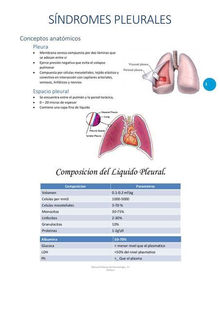 S Ndromes Pleurales Erika Maldonado Ponce Udocz