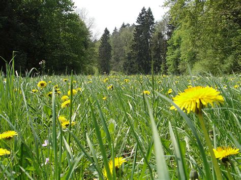 EifelBahnSteig 10 Etappe Von Dahlem nach Jünkerath Rad und