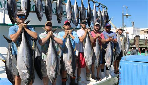 Galvestoncom Fishing Galveston Tx