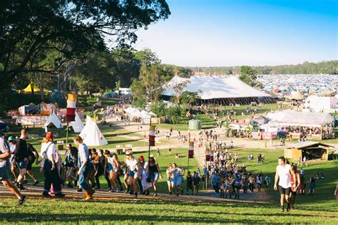 Byron Adventure Vans Splendour In The Grass