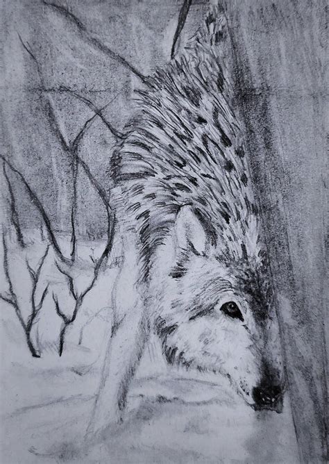 Snow wolf by fujikowa on DeviantArt