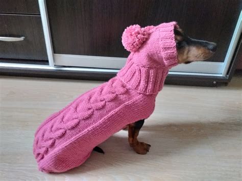 Dachshund Suit Sweater And Hat Knitted Dachshund Clothes Etsy Canada