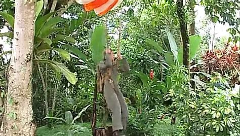 Rafael Alencar Free Gay Pornstar Videos XHamster