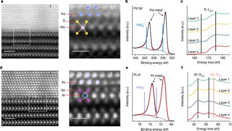 Atomic Resolution Imaging And Chemical Analyses Of The Download Scientific Diagram