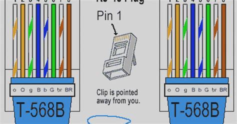 Most Common Cat Wiring A Or B