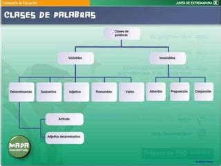 Morfolog A Categor As Gramaticales Ppt