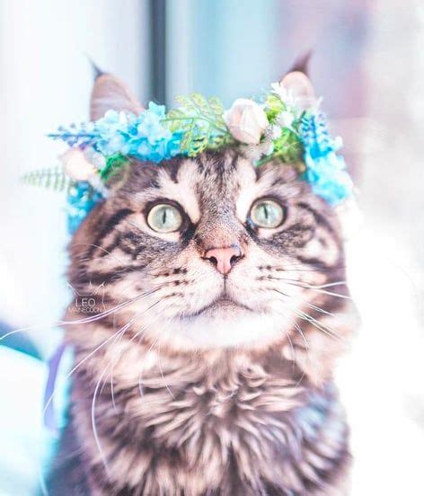 This Woman Takes The Most Breathtaking Photos Of Her Cats Wearing Floral Crowns Like True Queens