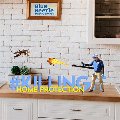 Blue Beetle Pest Control Main Street Kansas City Mo Pest Control